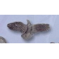 Eagle In Flight Award (4-1/2"x1-1/4")